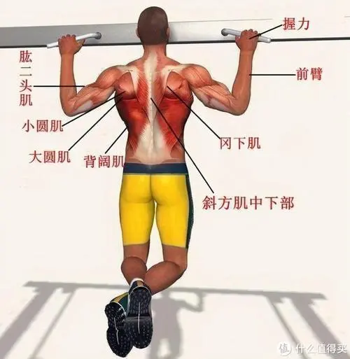 網(wǎng)球拍上找不到參數(shù)嗎嗎_
